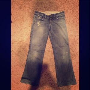 Joes Jeans-petite length